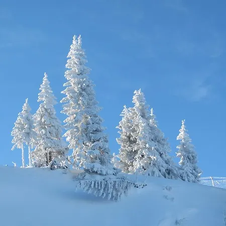 Chalet Chalet Jahorinka